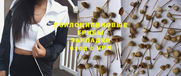 героин Алзамай