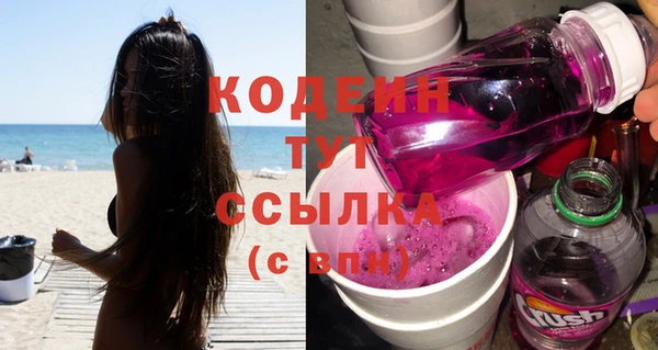 прущие грибы Нея