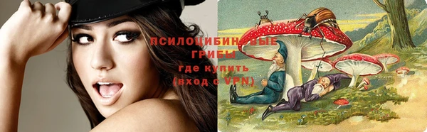 героин Алзамай