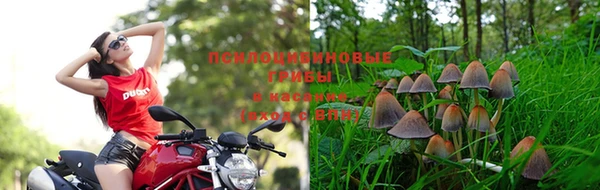 героин Алзамай