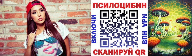 купить наркотики цена  Луза  Псилоцибиновые грибы мухоморы 